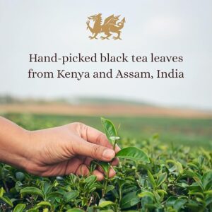 Glengettie Welsh Breakfast Tea, 80 Tea Bags 250g, Welsh Tea, Tata Consumer Products UK Group Limited. Sold by Teas.co.uk.