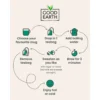 Www-Teas-Co-Uk-Good-Earth-Elderflower-And-Pear-White-Tea-15-Tea-Bags-18G-5000208052097-Brewing-Instructions Good Earth Elderflower And Pear White Tea, 15 Tea Bags 18G