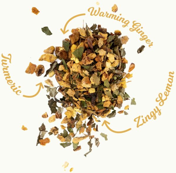 Good Earth Lemon, Ginger and Turmeric, 15 Tea Bags 42g, Fruit and Herbal Tea, Tata Consumer Products UK Group Limited. Sold by Teas.co.uk.