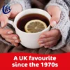 Www-Teas-Co-Uk-Lift-Instant-Lemon-Black-Tea-165G-5060123606645-Tea-In-White-Cup-Brewing-In-Ladies-Hands-With-Floating-Lemon-Slice Lift Instant Lemon Black Tea, 165G