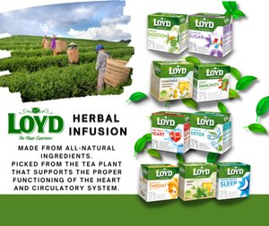 Loyd Pure Camomile, 40 Tea Bags 56g, herbal teas, available at teas.co.uk