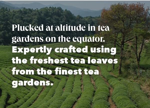 Www-Teas-Co-Uk-Pg-Tips-Gold-Special-Blend-70-Tea-Bags-203G-8720608039623-Our-Tea-Being-Grown-Lifestyle Pg Tips Gold Special Blend, 70 Tea Bags 203G
