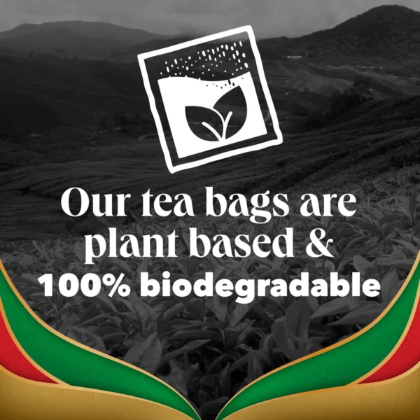 Www-Teas-Co-Uk-Pg-Tips-Gold-Special-Blend-70-Tea-Bags-203G-8720608039623-Tea-Bag-Facts-Visual Pg Tips Gold Special Blend, 70 Tea Bags 203G