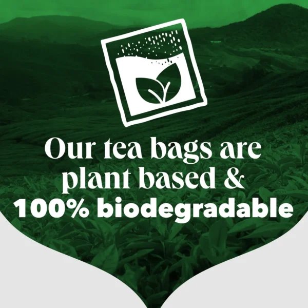 PG Tips Original English Breakfast, 80 Tea Bags 232g, Black Tea, Lipton Teas and Infusions UK Limited. Sold by Teas.co.uk.