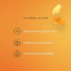Www-Teas-Co-Uk-Pukka-Organic-Three-Ginger-20-Tea-Bags-36G-5065000523145-Visual-Facts Pukka Organic Three Ginger, 20 Tea Bags 36G
