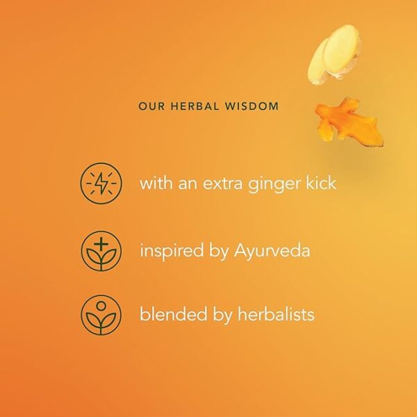 Www-Teas-Co-Uk-Pukka-Organic-Three-Ginger-20-Tea-Bags-36G-5065000523145-Visual-Facts Pukka Organic Three Ginger, 20 Tea Bags 36G