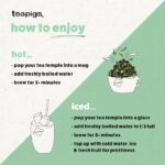 Teapigs Darjeeling Earl Grey, 15 Tea Bags 37.5g, Black Tea, Teapigs Limited. Sold by Teas.co.uk.