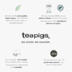 Teapigs Green Tea with Mint, 15 Tea Bags 37.5g, English Tea, Teapigs Limited. Sold by Teas.co.uk.