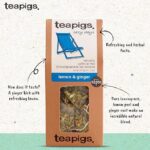 Teapigs Lemon and Ginger, 15 Tea Bags 37.5g, Autumn and Winter Teas, Teapigs Limited. Sold by Teas.co.uk.