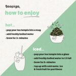 Teapigs Lemon and Ginger, 15 Tea Bags 37.5g, Autumn and Winter Teas, Teapigs Limited. Sold by Teas.co.uk.