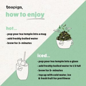 Teapigs Lemon and Ginger, 15 Tea Bags 37.5g, English Tea, Teapigs Limited. Sold by Teas.co.uk.