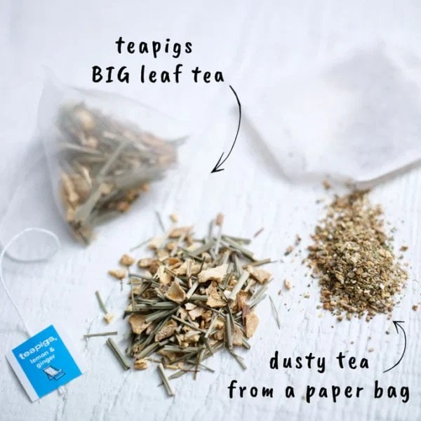 Teapigs Lemon And Ginger, 15 Tea Bags 37.5G, English Tea, Teapigs Limited. Sold By Teas.co.uk.