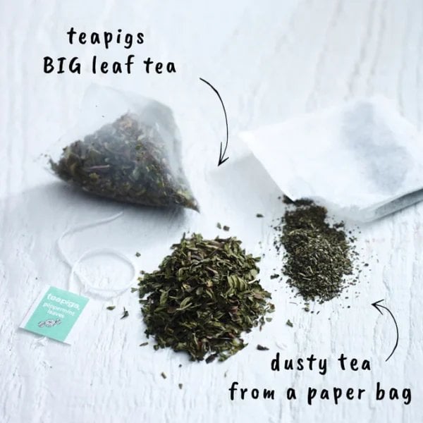 Teapigs Peppermint Leaves, 15 Tea Bags 30G, English Tea, Teapigs Limited. Sold By Teas.co.uk.