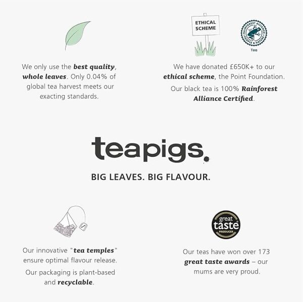 Teapigs Spiced Winter Red, 15 Tea Bags 37.5G
