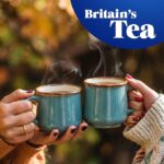 Tetley One Cup English Breakfast Tea, 72 Tea Bags 144g, Black Tea, Tata Consumer Products UK Group Limited. Sold by Teas.co.uk.