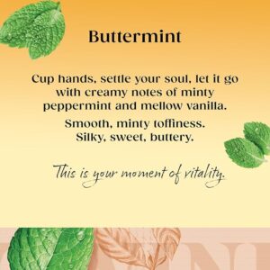 Twinings Buttermint, 20 Tea Bags 40g, Fruit and Herbal Tea, R. Twining and Company Limited. Sold by Teas.co.uk.