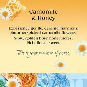 Twinings Camomile and Honey, 20 Tea Bags 30g, Fruit and Herbal Tea, R. Twining and Company Limited. Sold by Teas.co.uk.