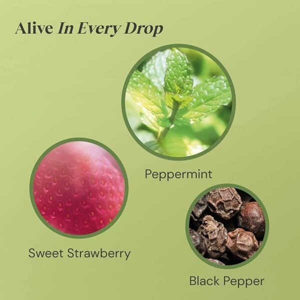 Twinings Peppermint and Strawberry, 20 Tea Bags 36g, Fruit and Herbal Tea, R. Twining and Company Limited. Sold by Teas.co.uk.
