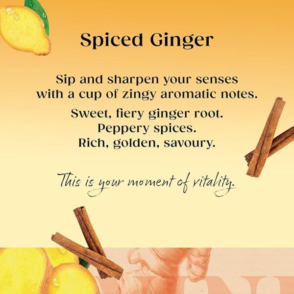 Twinings Spiced Ginger, 20 Tea Bags 35g, Fruit and Herbal Tea, R. Twining and Company Limited. Sold by Teas.co.uk.