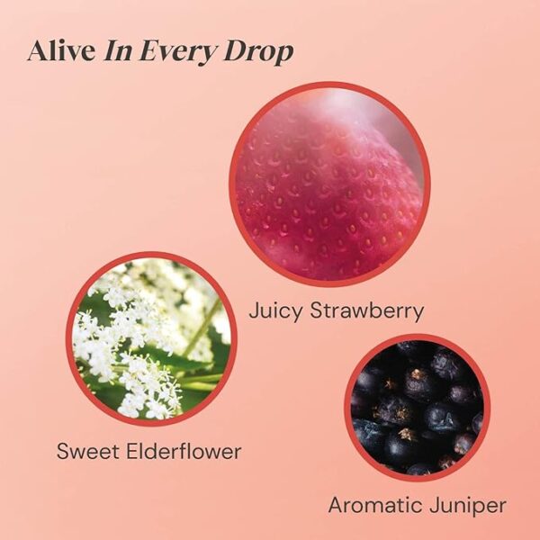 Www-Teas-Co-Uk-Twinings-Strawberry-And-Elderflower-20-Tea-Bags-40G-070177227531-Ingredient-Visualwebp Twinings Strawberry And Elderflower, 20 Tea Bags 40G