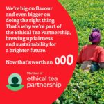 Typhoo Original Breakfast Tea, 400 Tea Bags 1.25kg, Black Tea, Typhoo Tea Limited. Sold by Teas.co.uk.