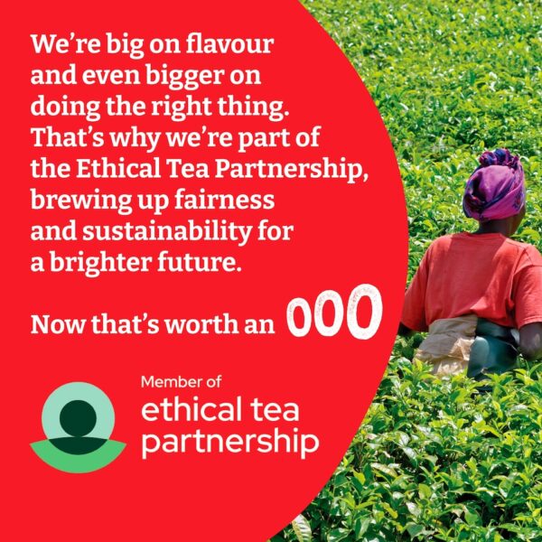Typhoo Original Breakfast Tea, 400 Tea Bags 1.25kg, Black Tea, Typhoo Tea Limited. Sold by Teas.co.uk.