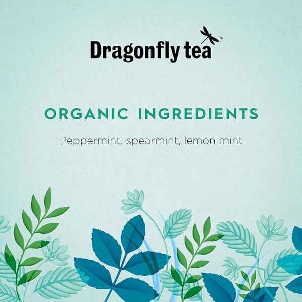 Dragonfly Organic Three Mint Medley, 40 Tea Bags 100G, Fruit And Herbal Tea, Dragonfly Teas Limited. Sold By Teas.co.uk.