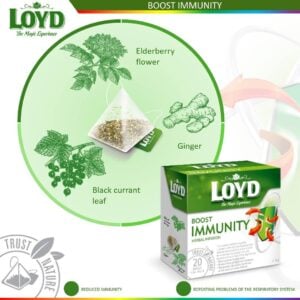 Loyd Boost Immunity, 20 Tea Bags 40g, front of box with health benefits, available at teas.co.uk