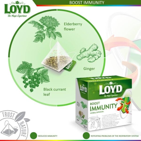 Loyd Boost Immunity, 20 Tea Bags 40g, front of box with health benefits, available at teas.co.uk