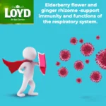 Loyd Boost Immunity, 20 Tea Bags 40g, how this tea helps boost humans immune strength, available at teas.co.uk