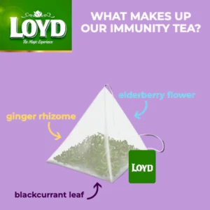 Loyd Boost Immunity, 20 Tea Bags 40g, visual of tea bag and ingredients, available at teas.co.uk
