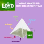 Loyd Digestion Support, 20 Tea Bags 40g, picture of ingredients, available at teas.co.uk