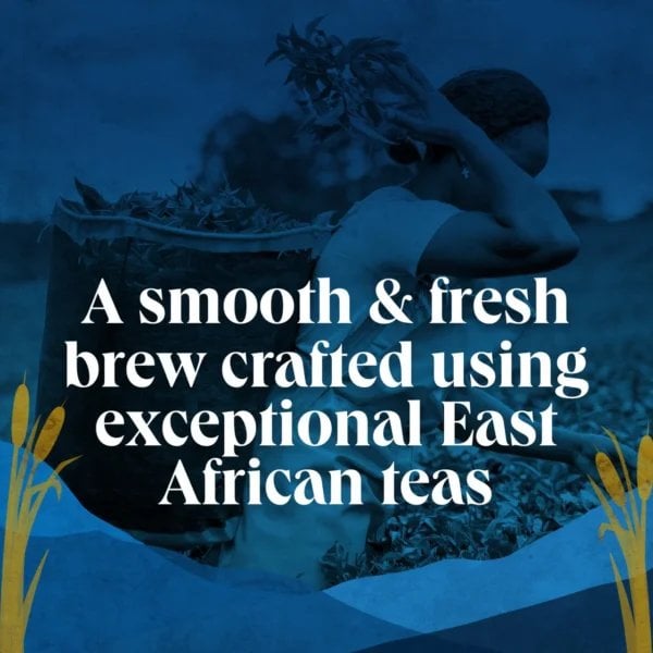 PG Tips Scottish Blend Breakfast Tea, 80 Tea Bags 232g, brand reach, available at teas.co.uk