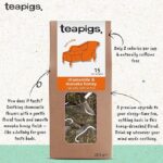 Teapigs Chamomile and Manuka Honey, 15 Tea Bags 22.5g, front of box with health facts, available at teas.co.uk