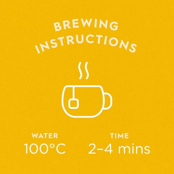 Dragonfly Organic Lively Lemon and Ginger, 20 Tea Bags 34g, brewing fact sheet, available at teas.co.uk