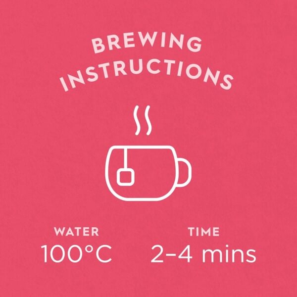 Dragonfly Organic Sweet Rosehip And Raspberry, 20 Tea Bags 34G, Brewing Instructions, Available At Teas.co.uk