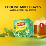 Lipton Smooth Mint, 20 Tea Bags 34g, side of box, available at teas.co.uk