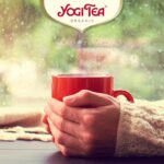 Yogi Tea Organic Turmeric Chai, 17 Tea Bags 34g, tea in red mug, available at teas.co.uk