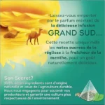 Lipton Evening Infusion, 20 Tea Bags 32g, french advert, available at teas.co.uk