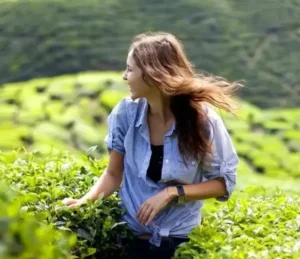 San Benedetto Matcha Green Tea, 400ml, our heritage and family lifestyle of lady in tea field, available at teas.co.uk
