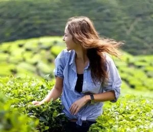San Benedetto Matcha Green Tea, 400ml, our heritage and family lifestyle of lady in tea field, available at teas.co.uk