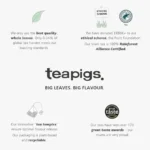 Teapigs Darjeeling, 15 Tea Bags 37.5g, about teapigs brand, available at teas.co.uk