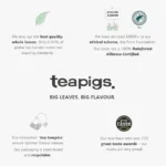 Teapigs Sweet Ginger, 15 Tea Bags, 37.5g, teapigs brand info, available at teas.co.uk