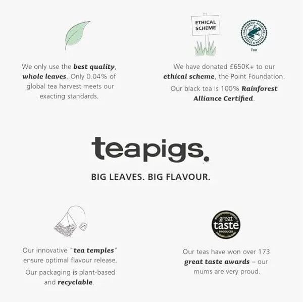 Teapigs Sweet Ginger, 15 Tea Bags, 37.5G, Teapigs Brand Info, Available At Teas.co.uk