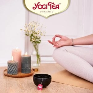 Yogi Tea Organic Bedtime, 17 Tea Bags 30.6g, relax with yogi organic, available at teas.co.uk