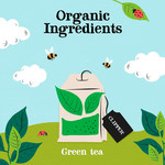 Clipper Fairtrade Organic Green Tea, 80 Tea Bags 160g, pack shot 4, available at teas.co.uk