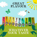Clipper Fairtrade Organic Green Tea, 80 Tea Bags 160g, pack shot 5, available at teas.co.uk