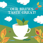 Clipper Organic Everyday, 80 Tea Bags 232g, pack shot 4, available at teas.co.uk