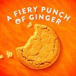 McVitie's Ginger Nuts Biscuits, 250g, pack shot 3, available at teas.co.uk