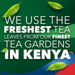 PG Tips Decaf Black Decaffeinated, 70 Tea Bags, pack shot 5, available at teas.co.uk